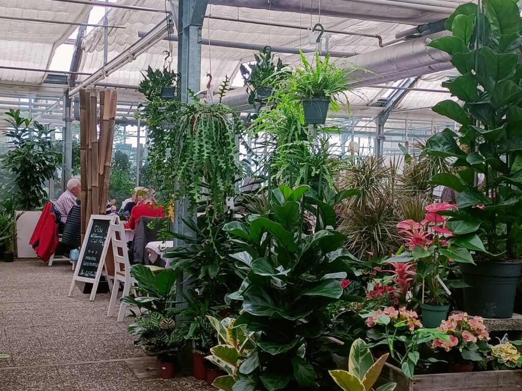 Cafe Flora- punkt sprzedażowy