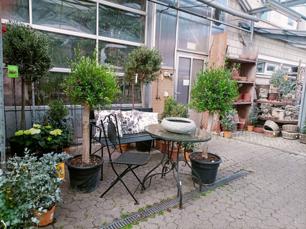 Cafe Flora w Braunschweigu