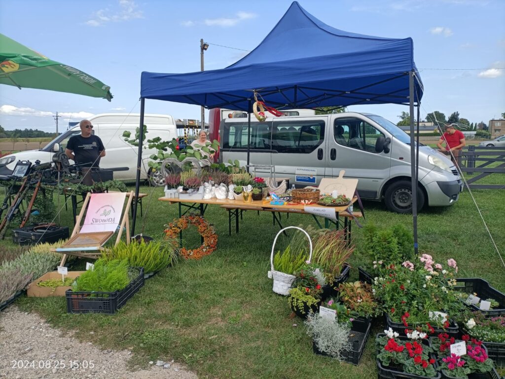 stoisko z roślinami pod altanką