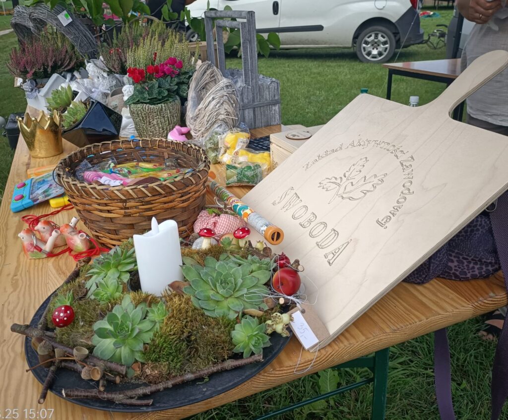stół zastawiony roślinami i skrzyneczkami
